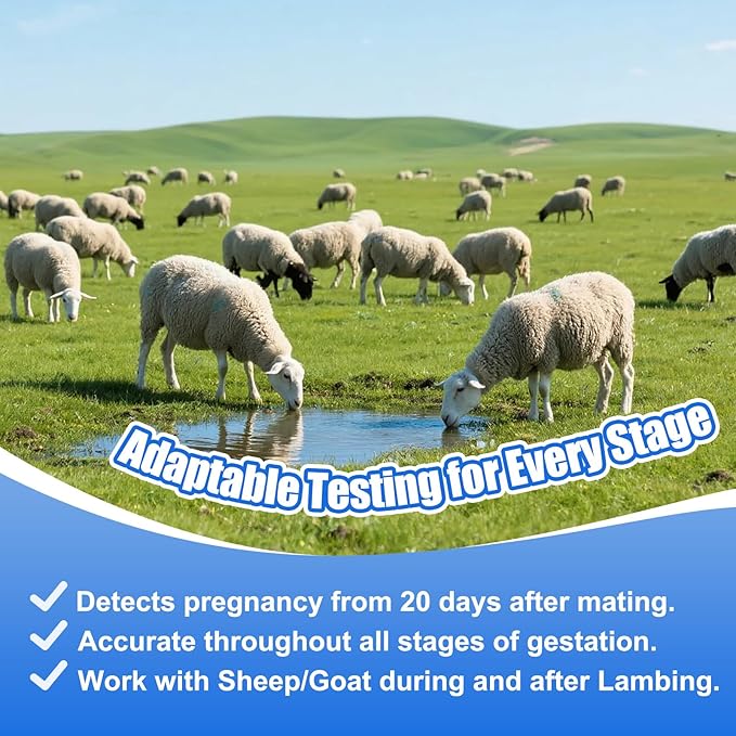 Sheep Goat Pregnancy Test Kit, 5 Pieces Urine Test Strips for Ewe Early Detection, Results in 5-15 Mins, Accurate & Easy Home Farm Use