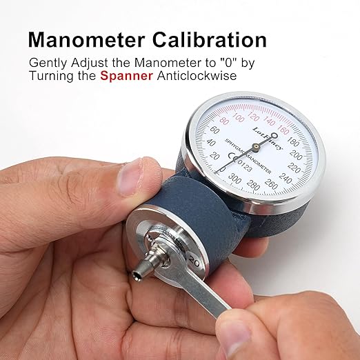 LotFancy Professional Manual Blood Pressure Cuff with D-ring, Standard Adult Sphygmomanometer Cuff 8.5"-16.5", Calibrated BP Cuff Manual with Carrying Case for Daily Home Check, Nursing Students, Blue