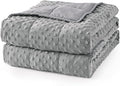 Mr. Sandman Weighted Blanket for Adults, Minky Dots Heavy Blanket for Woman, Man Sleeping and Calm, Soft and Cozy Weighted Throw Blankets, Machine Washable, 48 x 72in, 10 lbs, Grey