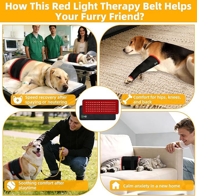 Pets Red Light Therapy Belt, LED Infrared Light Therapy for Dogs and Cats with 80 LEDs 660nm and 850nm Red,Wearable Device for Pain Relief