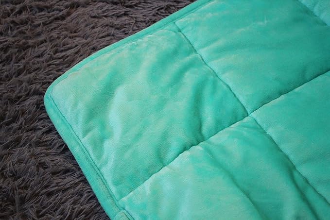 ALANSMA Reversible Weighted Blanket for All Season, Luxury Velvet, Warm and Cool, Adult 15Lb Green Weighted Blanket, Enjoy Sleeping Anywhere(Light Green,60"x80" 15lbs)