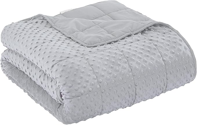 Weighted Blanket for Adults, Comfortable and Soft Throw Weighted Blanket with Premium Glass Beads for All Season 10 lbs 48"x72", Light Grey