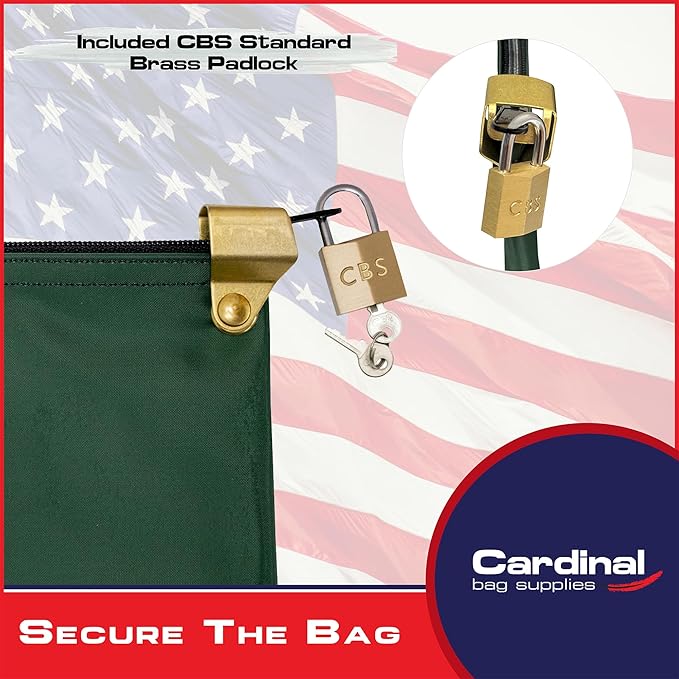 Medication Zipper Hood Security Bag with Included Padlock and Keys, Small Pill Bag, Travel Carry Pouch, Medicine Storage, 9 x 6 inches (Forest Green)