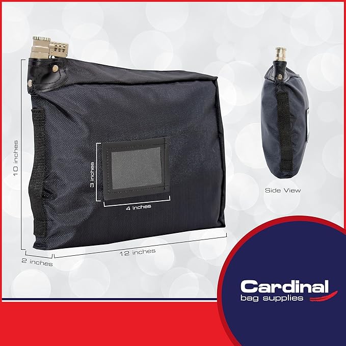 Large Medicine Bag Includes Pill Box and Removable Clear Bags, Prescription Bottle Organizer, Travel Carry Case, Combination Lock,12" x 10" x 2" (Black)