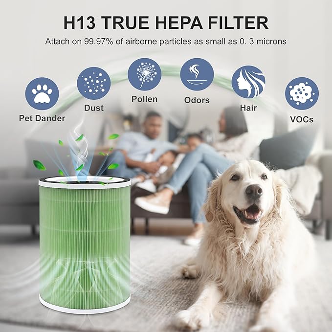 2 Pack KILO H13 True HEPA Filter Compatible with Afloia KILO, KILOPLUS, KILOPRO, MIRO,MIRO PRO and MORENTO MR-Kilo, Kalo Air Pur ifier, 360° 4-Stage Filtration