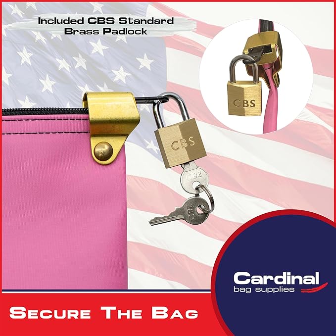 Medication Zipper Hood Security Bag with Included Padlock and Keys, Small Pill Bag, Travel Carry Pouch, Medicine Storage, 9 x 6 inches (Pink)