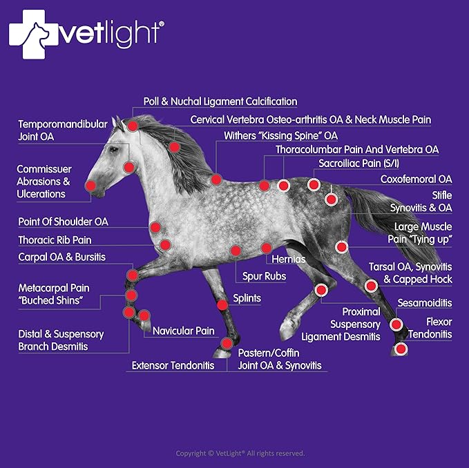 VETLIGHT Red Light for Dogs, Cats, Horses and Other Animals.
