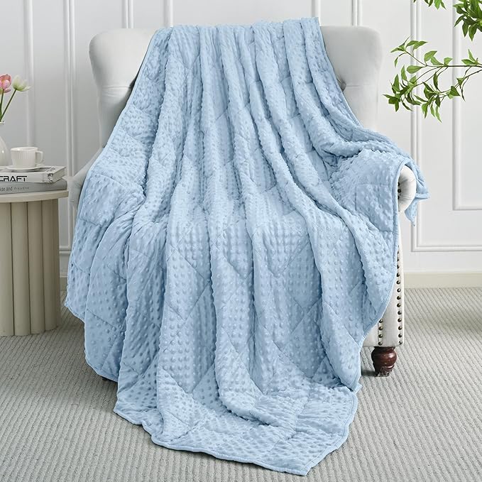 Mr. Sandman Weighted Blanket for Adults Queen Size 20 lbs, Soft Cooling Heavy Minky Blanket for Sleep, Washable Throw Blanket with Glass Beads, 60 x 80 Inches, Light Blue