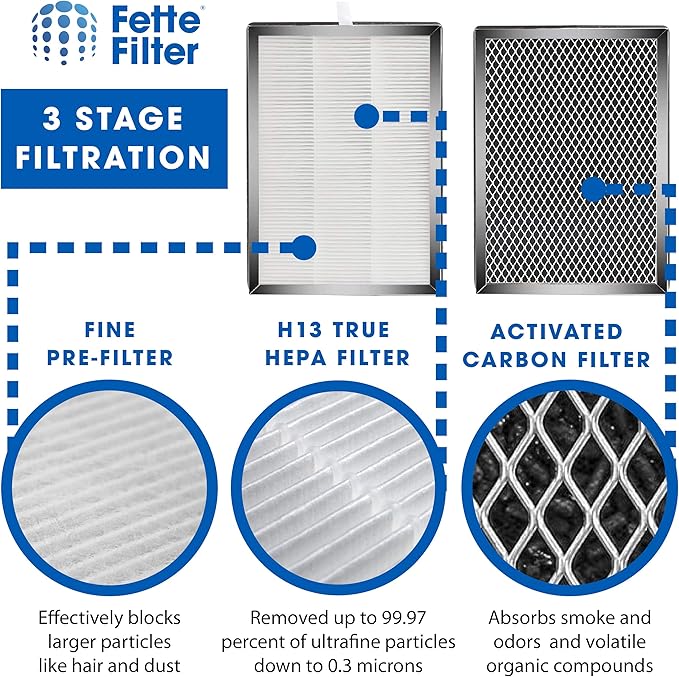Fette Filter - Premium H13 True HEPA Replacement Filter Compatible with MA-25 Air Purifier with 3-in-1 filtration system. Includes 2 Hepa Replacements for models 25/US B1/S1/W