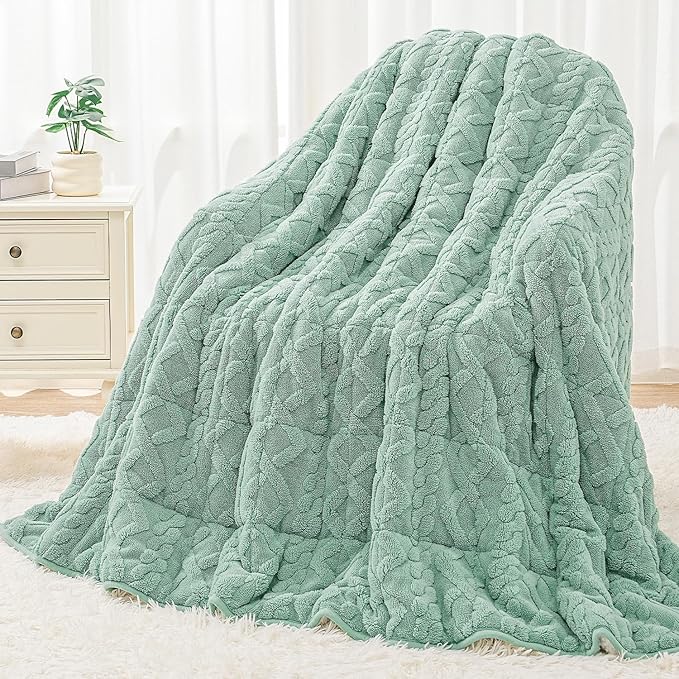 Wemore Weighted Blanket for Adults Twin Size 20 lbs, Dual Sided Soft Fuzzy Jacquard Sherpa Weighted Blankets, Cozy Fluffy Knitted Heavy Blanket, Sage Green and White, 60 x 80 inches