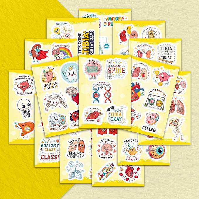 100Pcs Anatomy Stickers - Medical Doctor Physiology Stickers for Laptop, Water Bottle - Sonography Radiology Healthcare Nurse Bone Decals