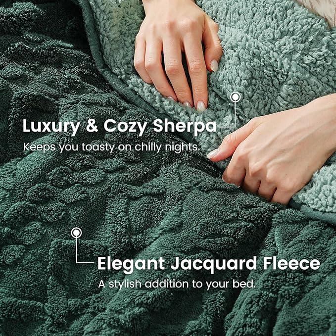 Sherpa Fleece Adult Weighted Blanket Great for Sleep, 20 lbs Dual Sided Soft Fuzzy Heavy Blankets for Couch Bed Sofa, Cozy Warm Fluffy Jacquard Throw for Winter (Green, 60" x 80", 20 Pounds)