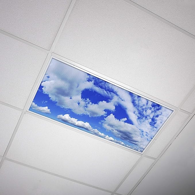 OCTO LIGHTS Fluorescent Light Covers Cloud Sky Panel for Ceiling Lights, Light Covers for Ceiling Lights Classroom 2x4 (22.38"x46.5") Backlit Film Insert for Fluorescent Light Fixtures (Pack of 1)