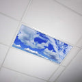 OCTO LIGHTS Fluorescent Light Covers Cloud Sky Panel for Ceiling Lights, Light Covers for Ceiling Lights Classroom 2x4 (22.38"x46.5") Backlit Film Insert for Fluorescent Light Fixtures (Pack of 1)