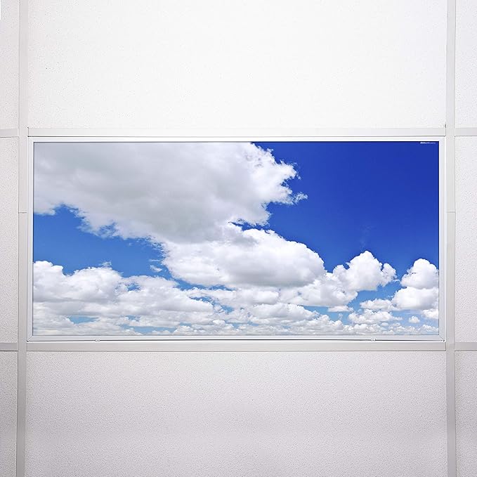 OCTO LIGHTS Fluorescent Light Covers Cloud Sky Panel for Ceiling Lights, Light Covers for Ceiling Lights Classroom 2x4 (22.38"x46.5") Backlit Film Insert for Fluorescent Light Fixtures (Pack of 1)