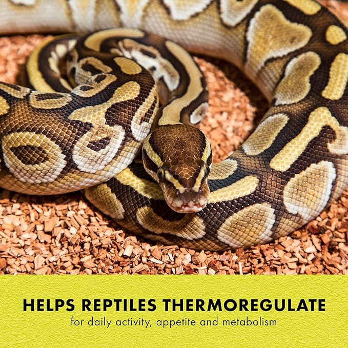 Zilla Heat Mat, Terrarium Heater for Reptiles, Snakes (Ball Pythons, Corn Snakes), Leopard Geckos, Tortoises, Amphibians and Arachnids, Small, Fits 10-20 Gallon, 8 Watt