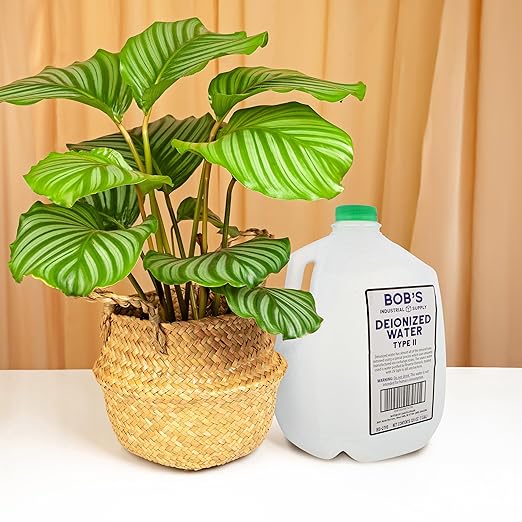 BISupply Deionized Water Gallon Type 2 Deionized Water Jug - 1Gal Type II Demineralized Sterile Distilled Water for Automotive and Laboratory Equipment