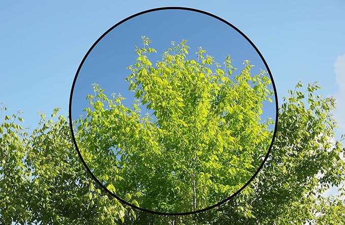 C-PL (Circular Polarizer) Multicoated | Multithreaded Glass Filter (40.5mm) for Olympus TG-5, Olympus TG-6 & Olympus TG-7 (Includes Adapter)