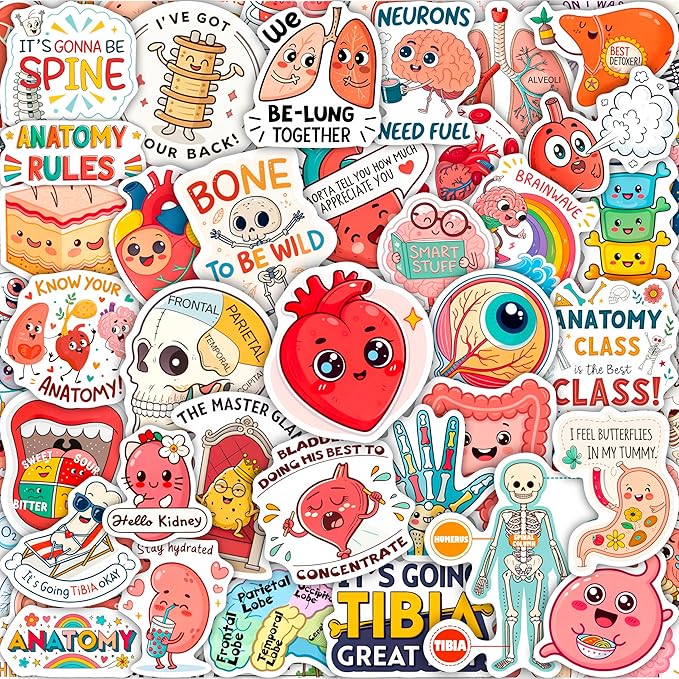 100Pcs Anatomy Stickers - Medical Doctor Physiology Stickers for Laptop, Water Bottle - Sonography Radiology Healthcare Nurse Bone Decals