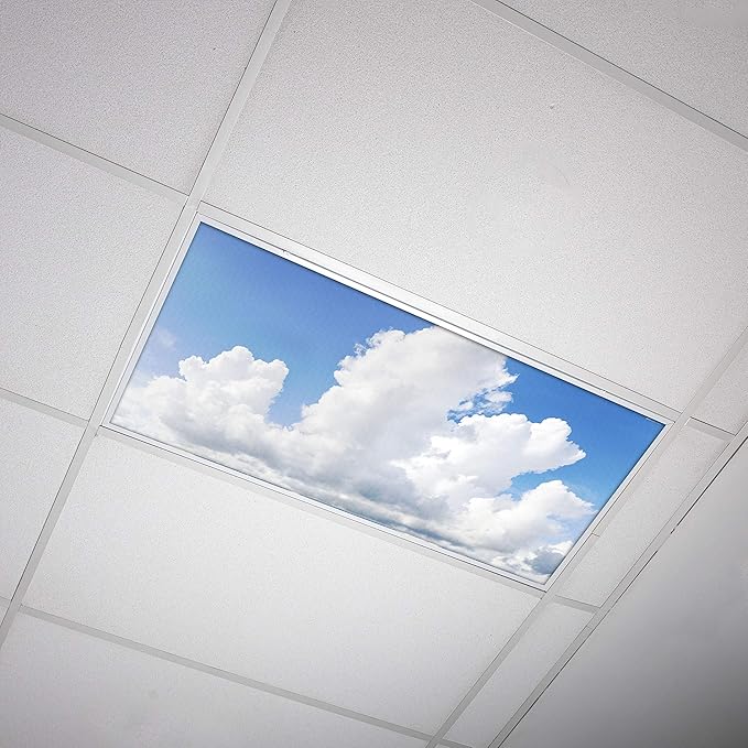 OCTO LIGHTS Fluorescent Light Covers Cloud Sky Panel for Ceiling Lights, Light Covers for Ceiling Lights Classroom 2x4 (22.38"x46.5") Backlit Film Insert for Fluorescent Light Fixtures (Pack of 1)