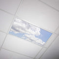 OCTO LIGHTS Fluorescent Light Covers Cloud Sky Panel for Ceiling Lights, Light Covers for Ceiling Lights Classroom 2x4 (22.38"x46.5") Backlit Film Insert for Fluorescent Light Fixtures (Pack of 1)