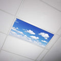 OCTO LIGHTS Fluorescent Light Covers Cloud Sky Panel for Ceiling Lights, Light Covers for Ceiling Lights Classroom 2x4 (22.38"x46.5") Backlit Film Insert for Fluorescent Light Fixtures (Pack of 1)