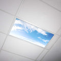 OCTO LIGHTS Fluorescent Light Covers Cloud Sky Panel for Ceiling Lights, Light Covers for Ceiling Lights Classroom 2x4 (22.38"x46.5") Backlit Film Insert for Fluorescent Light Fixtures (Pack of 1)